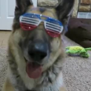 Meet your Posher, Frank